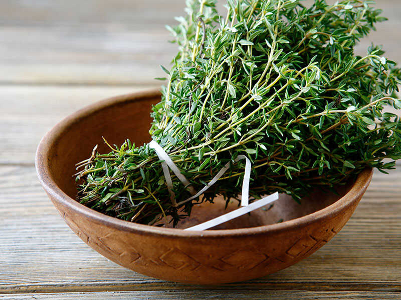 Green Thyme Bowl