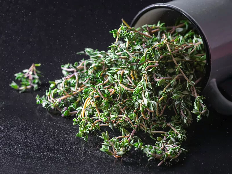 Lemon Thyme