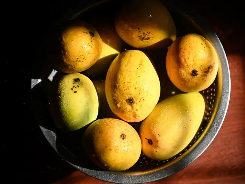 Mango fruit