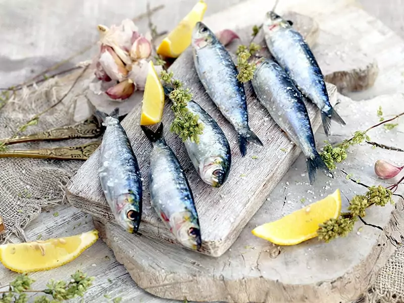 Marine Fish Sardines with Sea Salt