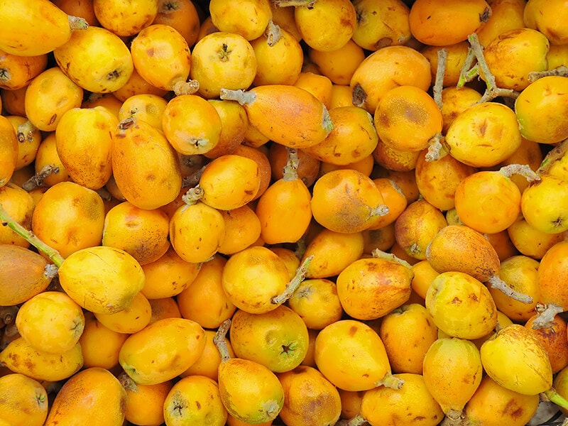 Marula Fruit