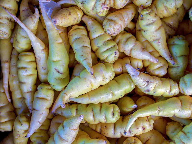 Mashua Tubers