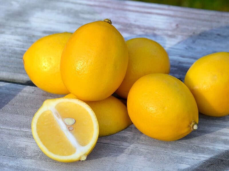 Meyer Lemon