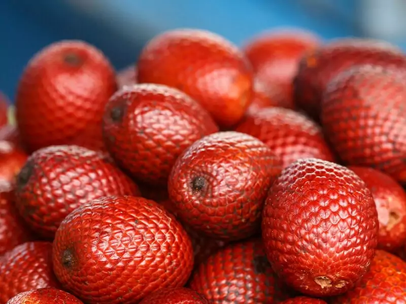 Moriche Palm Fruit