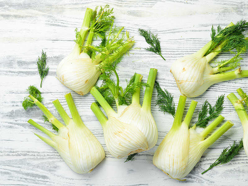 Organic Fennel