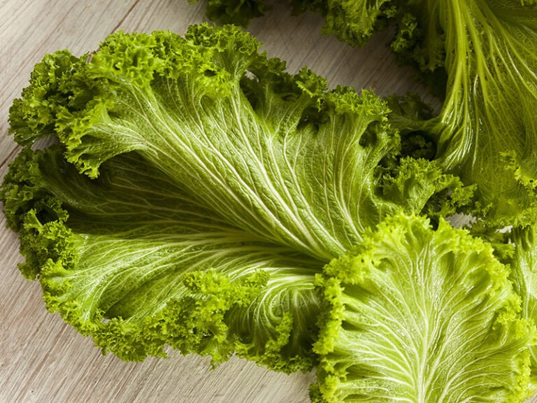 10 Best Fenugreek Substitutes 2023