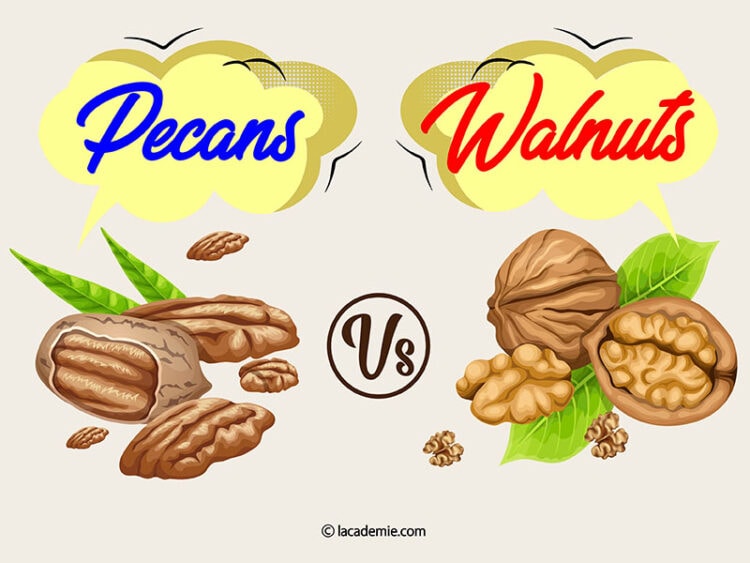 Pecans Vs. Walnuts Nut Showdown 2024