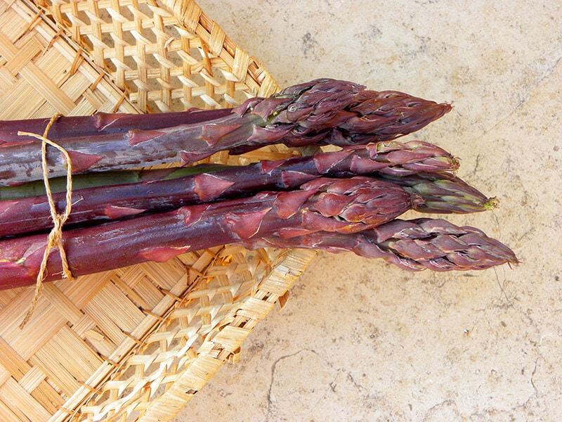 Purple Asparagus