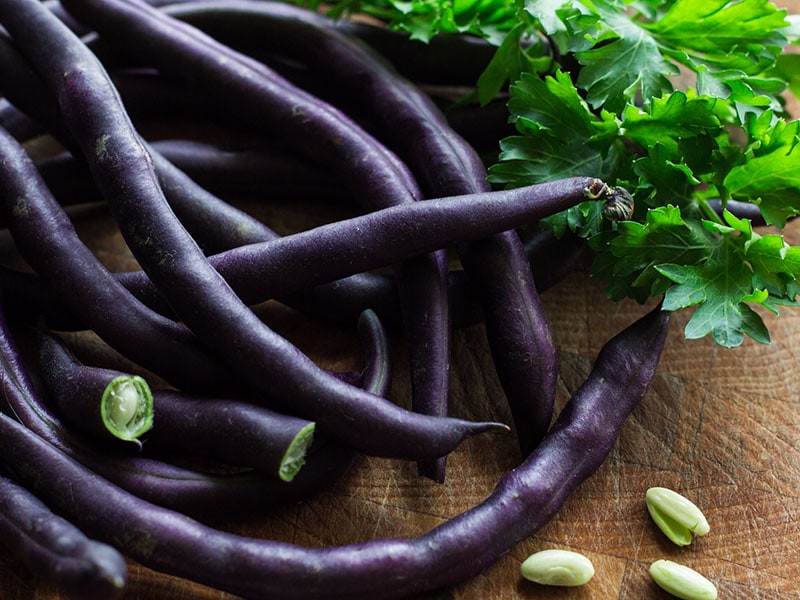 Purple Bean Pods Leaves