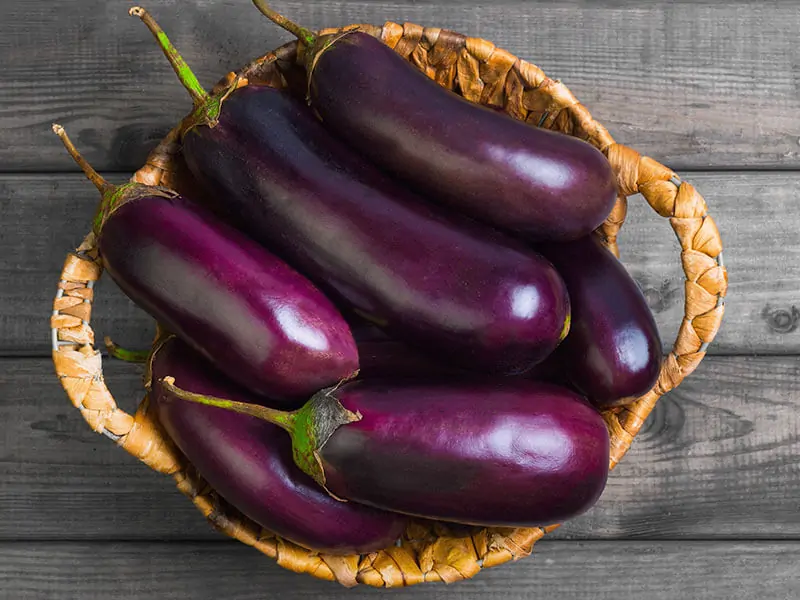 Purple Eggplant