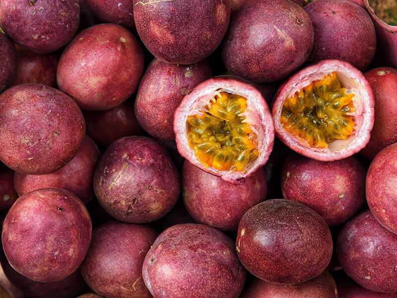 Purple Passion Fruit