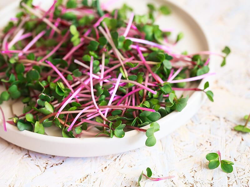 Radish Sprouts