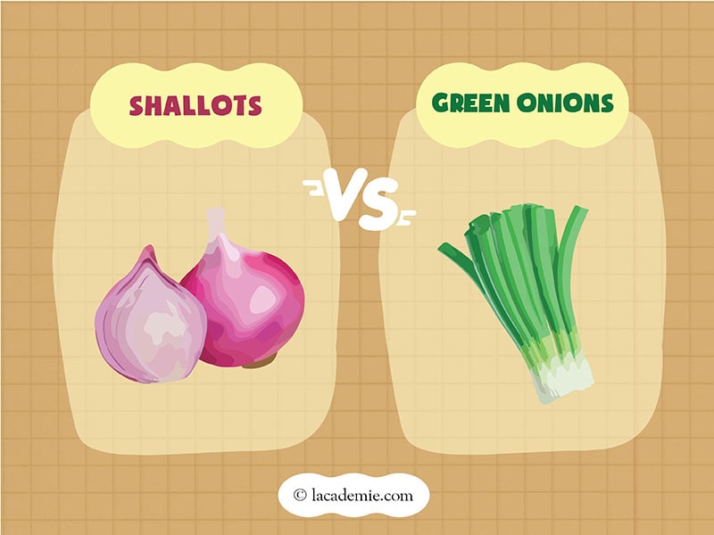 Shallots Vs Green Onion