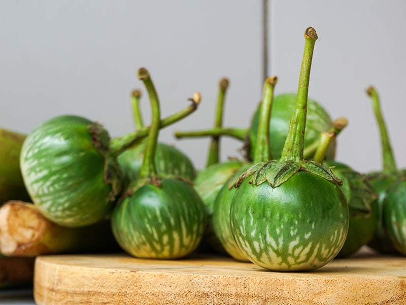 Small Green Eggplant