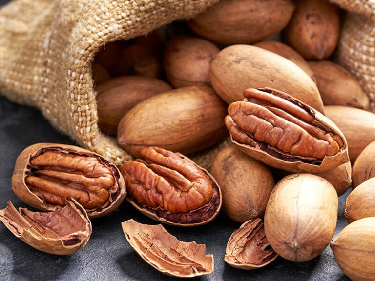 Pecans Vs. Walnuts Nut Showdown 2024