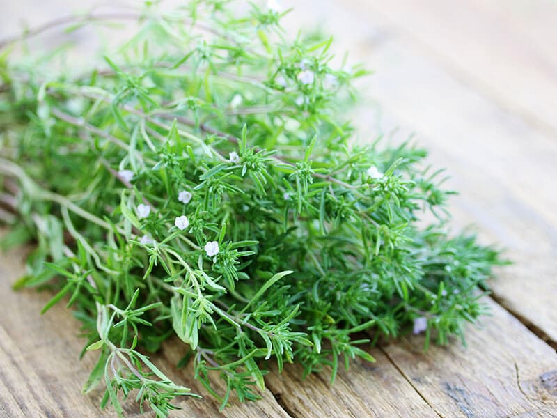 Summer Savory