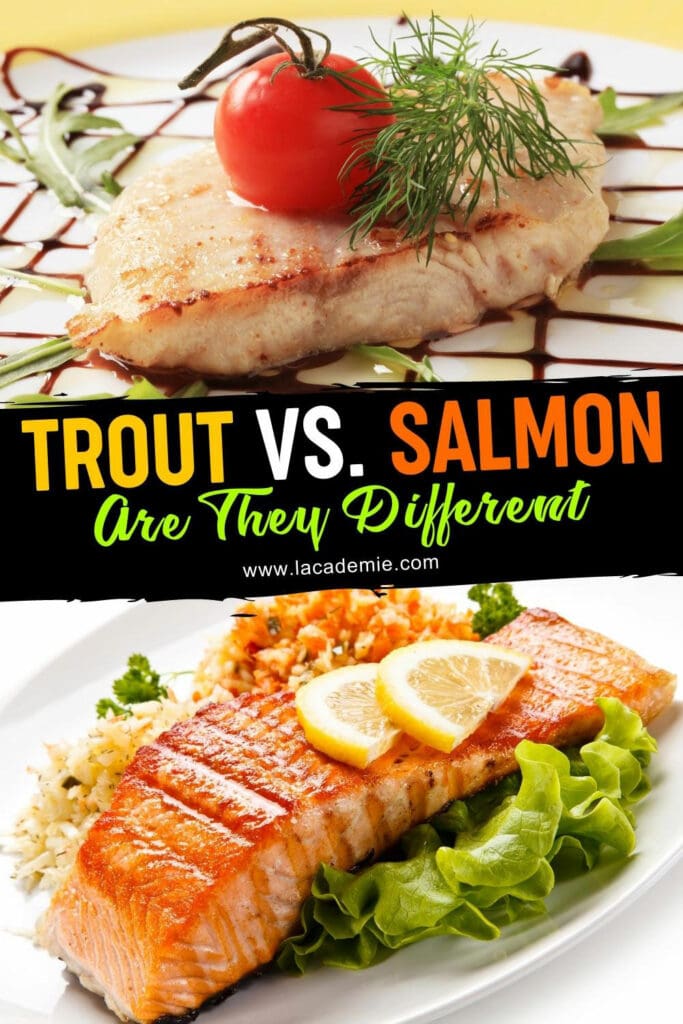Trout Vs Salmon