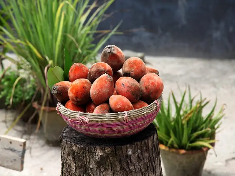 Velvet Apple Fruit