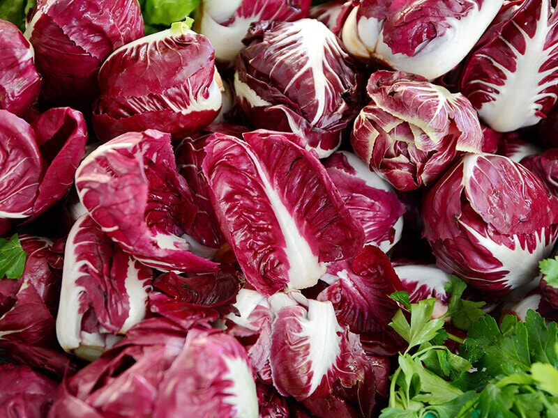 Veronese Red Radicchio