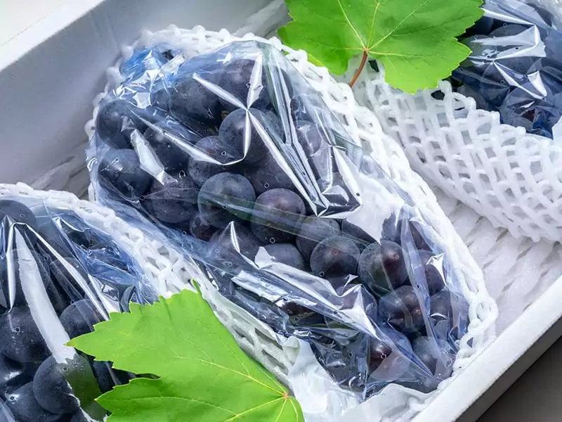 Wine Grape Packaging