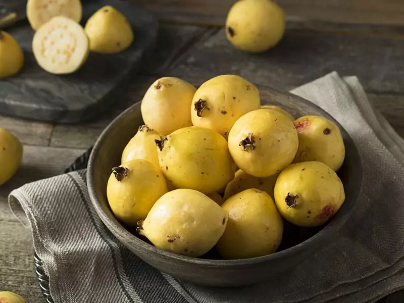 Yellow Guava Fruit