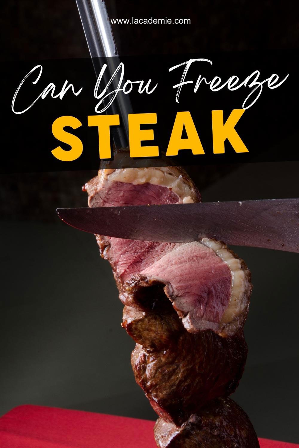 Can You Freeze Steak? The Comprehensive HowTo Guide 2023