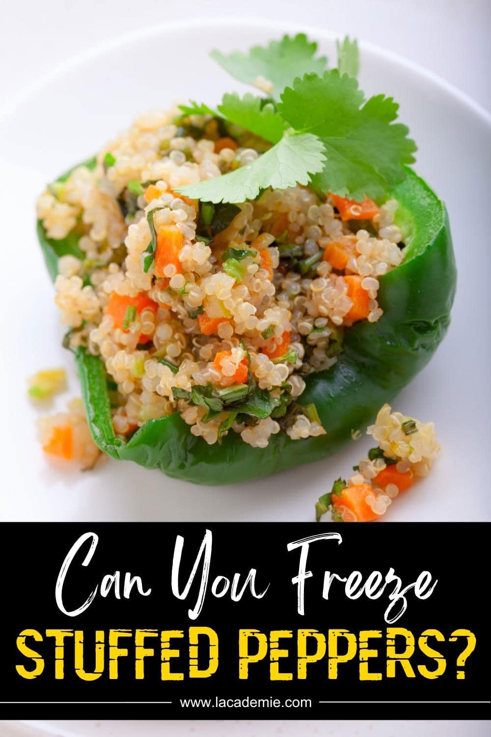 Can You Freeze Stuffed Peppers? Proper Ways To Freeze Stuffed Peppers