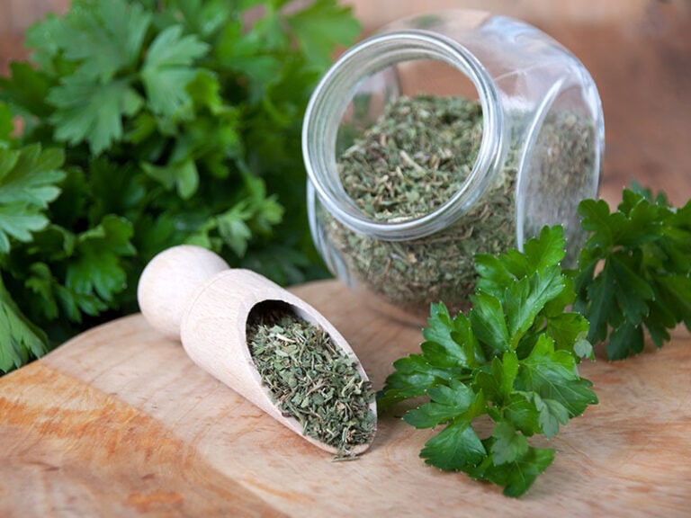 Dried Parsley Scoop Spices