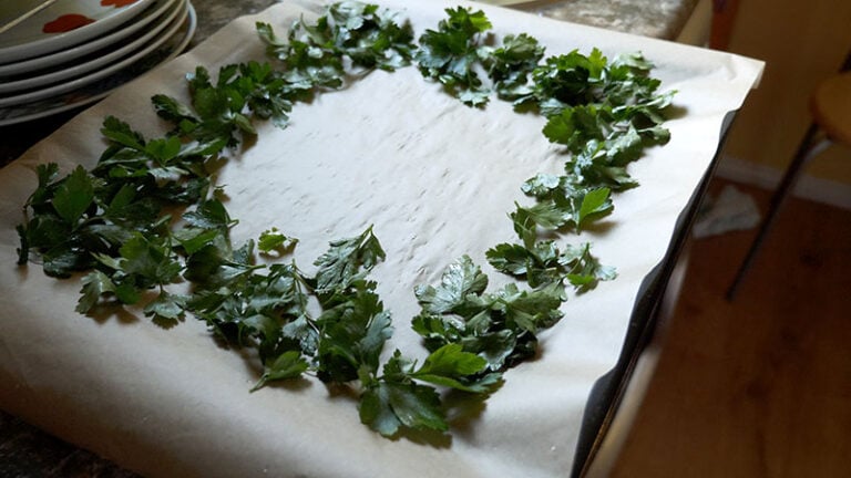 Fresh Parsley On Baking Tray