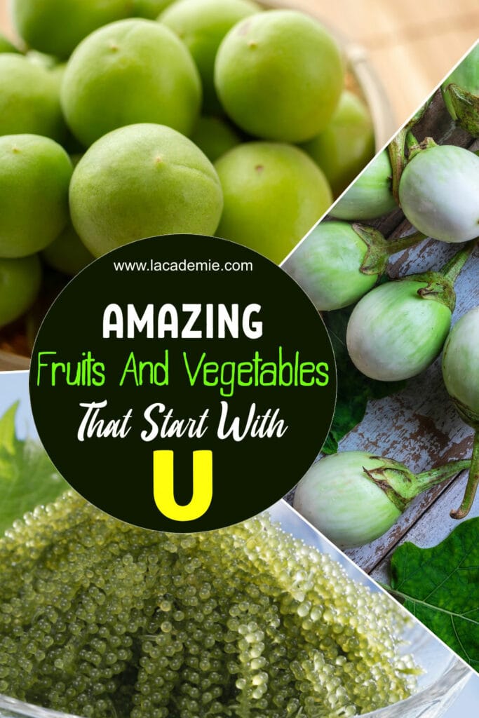 Fruits And Vegetables That Start With U