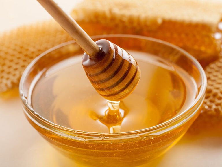 Honey Honeycomb Bee