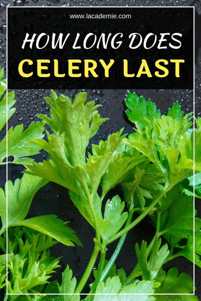 How Long Does Celery Last