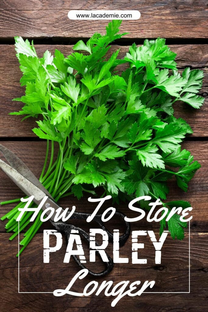 How To Store Parsley