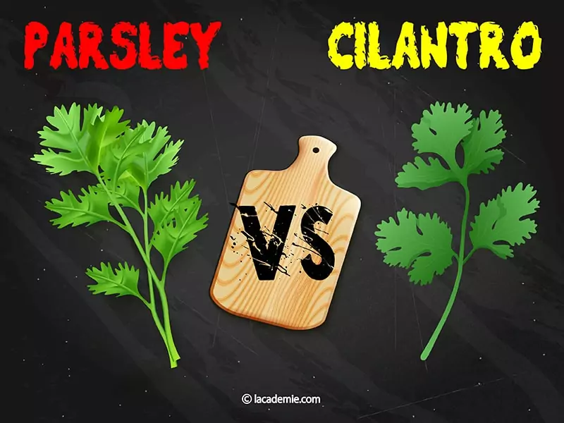 Parsley And Cilantro