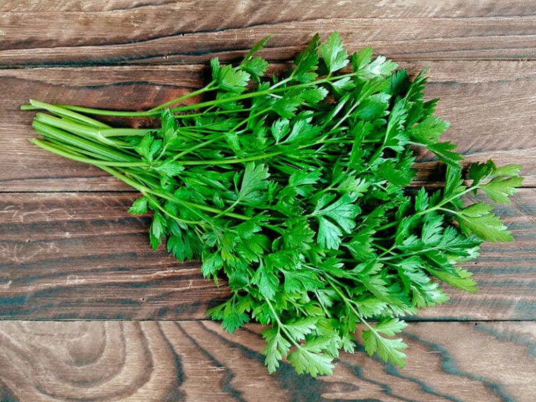 Parsley Bunch