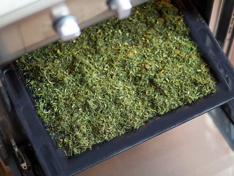 Seasoning Fennel On Black Tray