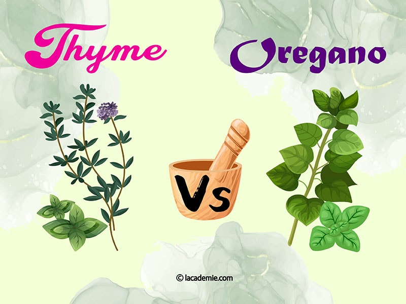 Thyme And Oregano