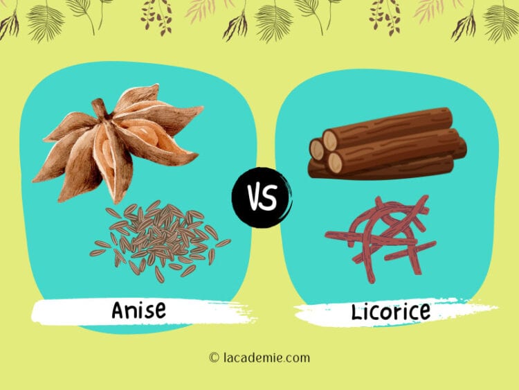 Anise Vs. Licorice Detailed Comparison 2024