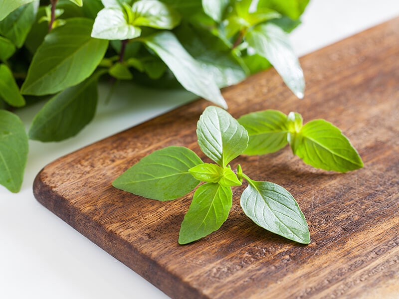 Basil in Board