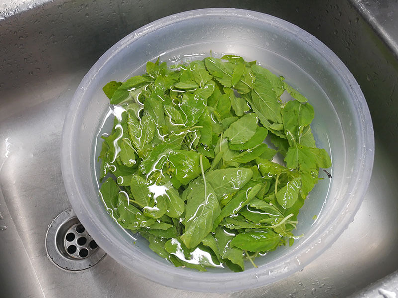 How To Store Fresh Basil 5 Tips To Keep It Longer 2023