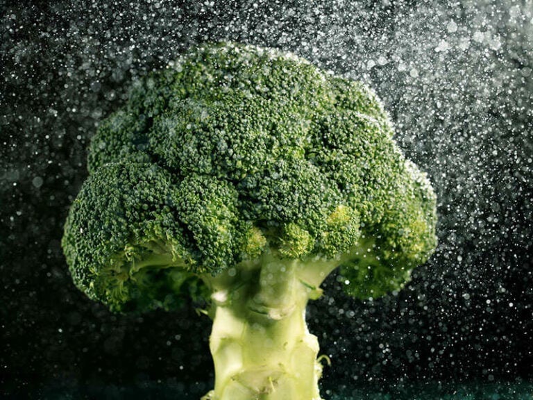 Broccoli On Black