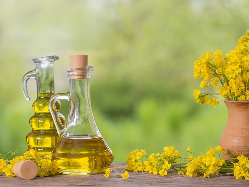 Canola Oil for Frying Chicken