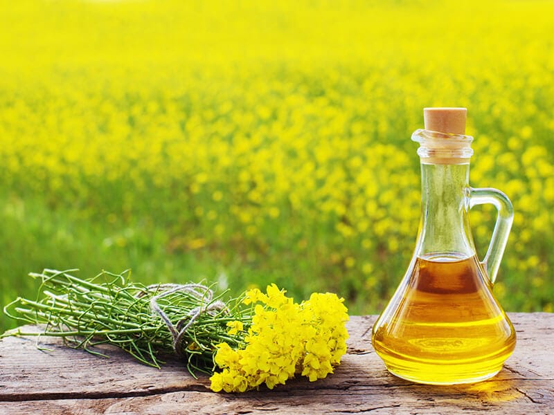 Canola Oil