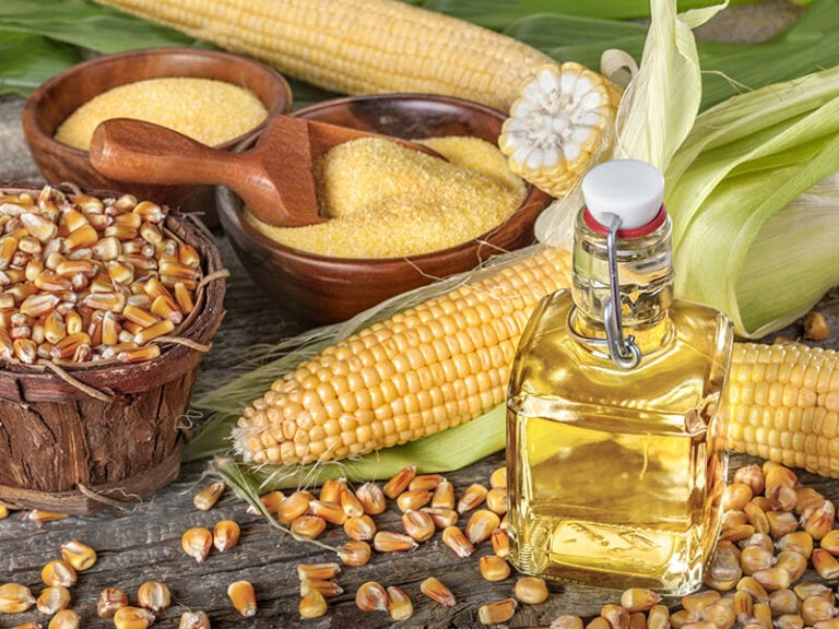 10 Best Oil For Frying Chicken Top Picks for 2024