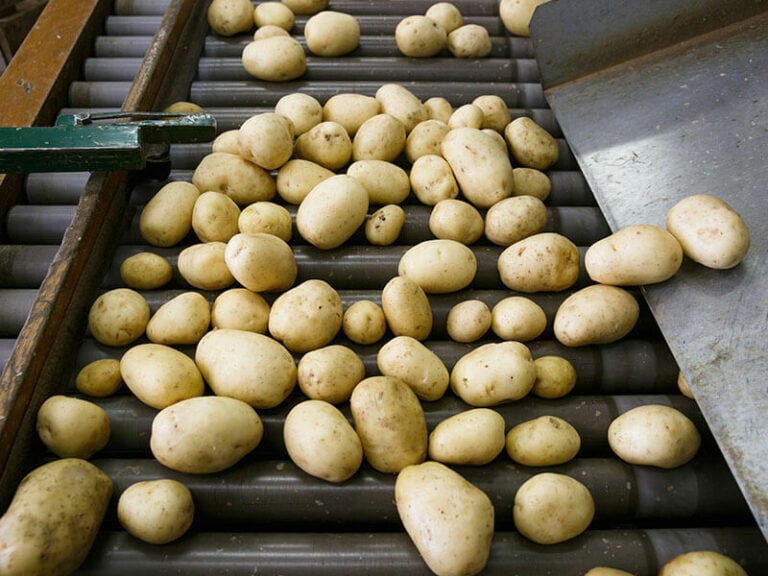 Potato Starch Vs. Cornstarch Are They Interchangeable? in 2024