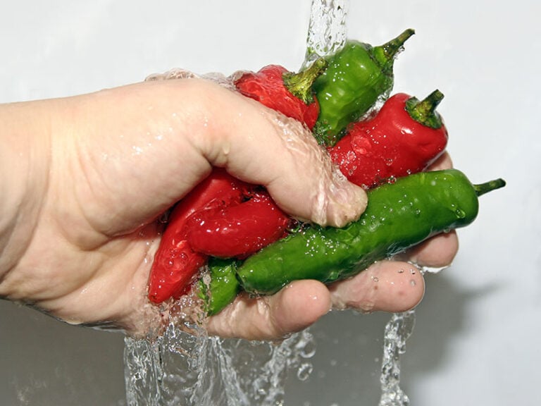 Four Fresh Chilis