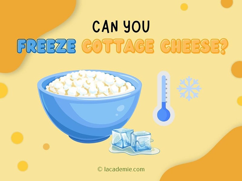 Freeze Cottage Cheese