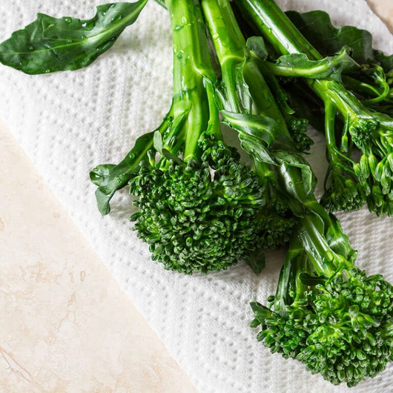 Fresh Organic Broccolini Placed