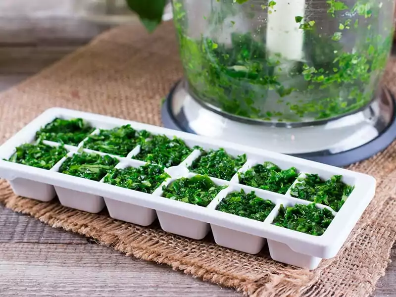 Frozen Cubes of Basil