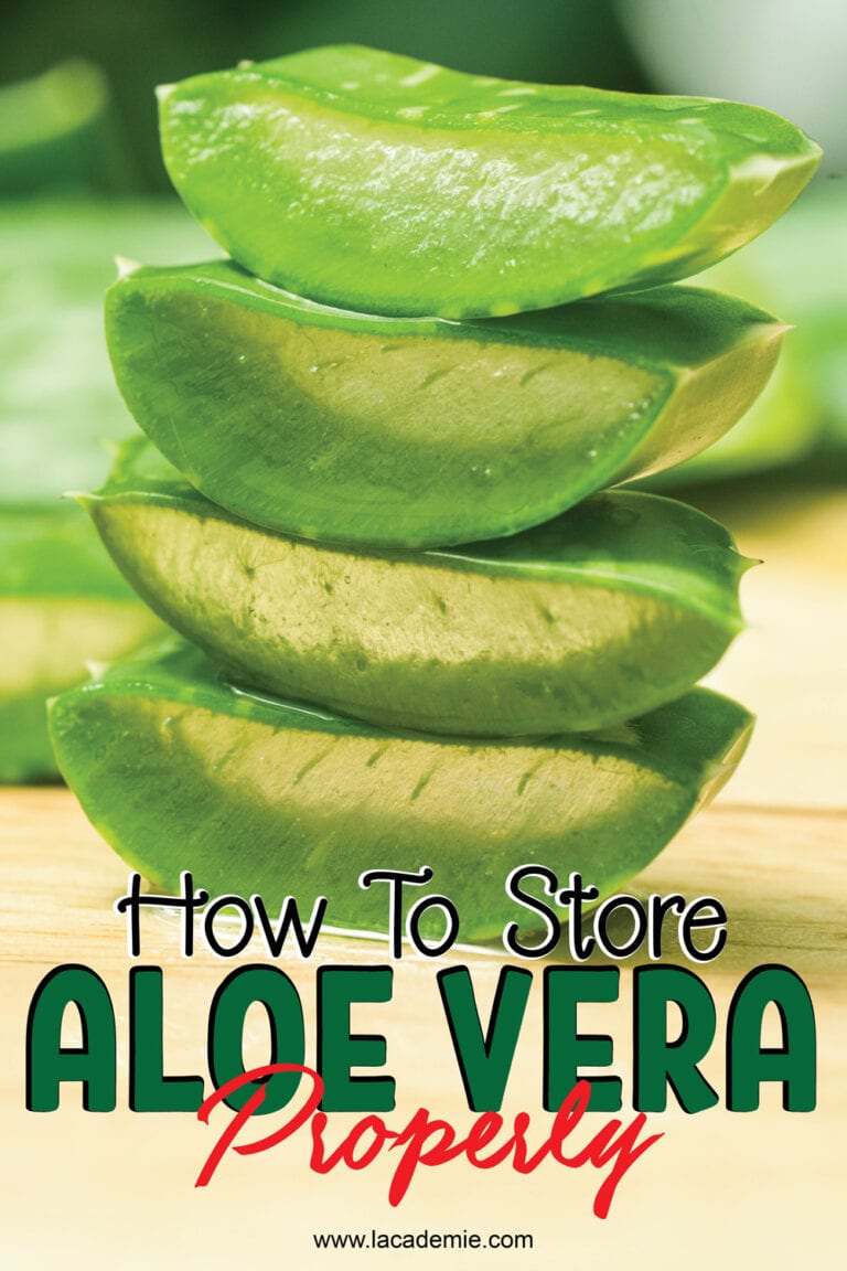 How To Store Aloe Vera Properly in 2024 Expert Tips